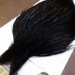 画像3: 【WHITING】High & Dry ROOSTER Cape - DYED BLACK No.1 (3)