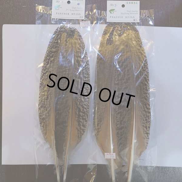 画像2: 【CANAL】ピーコッククイル XL (2)