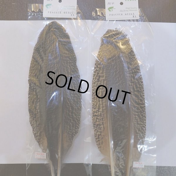 画像3: 【CANAL】ピーコッククイル XL (3)