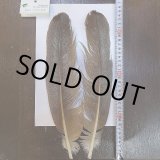 クイル - DOLLYVARDEN FLY FISHING SHOP