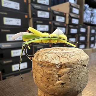 70726f647563742f32303233303830