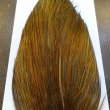 画像6: 【WHITING】Hebert ROOSTER CAPE PRO Grade - Rusty Dun (6)