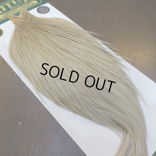 画像2: 【WHITING】Hebert Silver Grade ROOSTER CAPE - PALE WATERLY DUN No.1 (2)