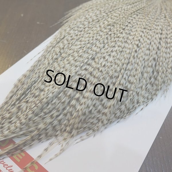 画像5: 【Whiting】ROOSTER CAPE Bronze Grade - DUN Grizzly No.1 (5)