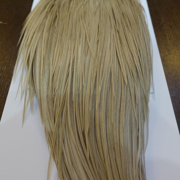 画像5: 【WHITING】Hebert Silver Grade ROOSTER CAPE - PALE WATERLY DUN No.2 (5)