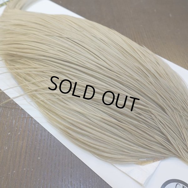 画像4: 【WHITING】Hebert Silver Grade ROOSTER CAPE - PALE WATERLY DUN No.1 (4)