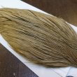 画像3: 【WHITING】Hebert ROOSTER CAPE Bronze Grade - Light tan dun No.2 (3)