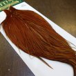 画像2: 【WHITING】Hebert ROOSTER CAPE PRO Grade - Medium Brown (2)