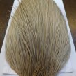 画像6: 【WHITING】Hebert Silver Grade ROOSTER CAPE - PALE WATERLY DUN No.1 (6)