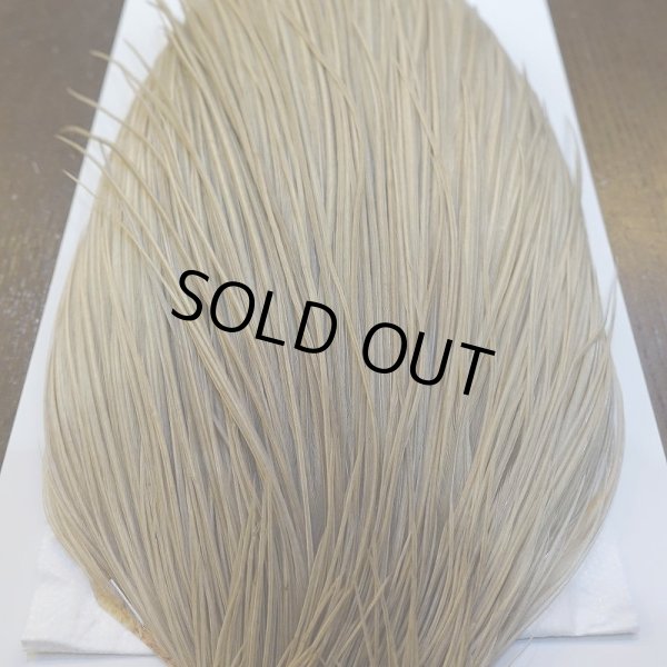 画像6: 【WHITING】Hebert Silver Grade ROOSTER CAPE - PALE WATERLY DUN No.1 (6)