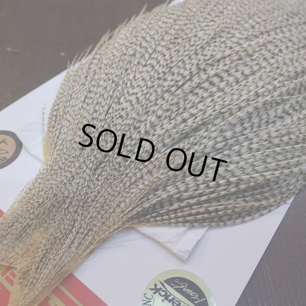 画像3: 【Whiting】ROOSTER CAPE Bronze Grade - DUN Grizzly No.1 (3)