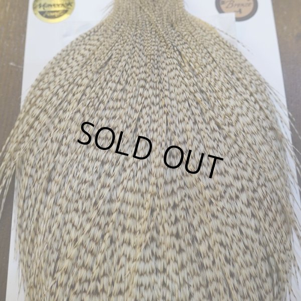 画像7: 【Whiting】ROOSTER CAPE Bronze Grade - DUN Grizzly No.1 (7)