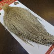 画像2: 【Whiting】ROOSTER CAPE Bronze Grade - DUN Grizzly No.2 (2)