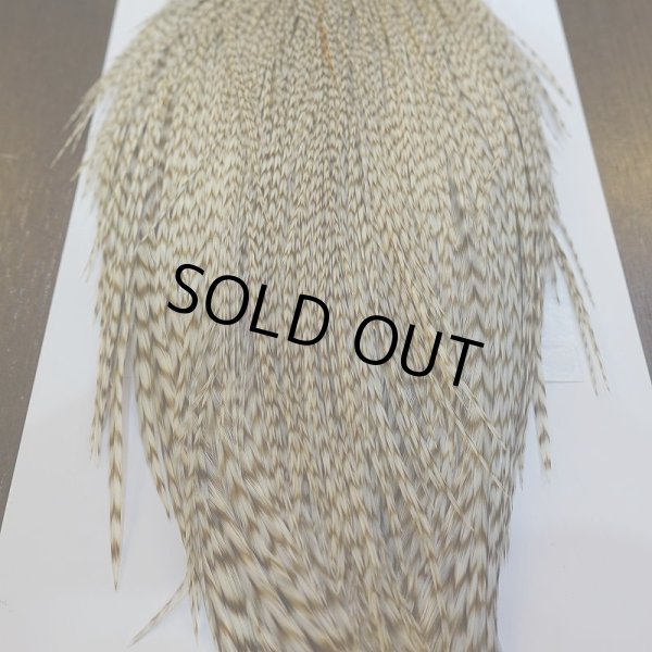 画像6: 【Whiting】ROOSTER CAPE Bronze Grade - DUN Grizzly No.2 (6)