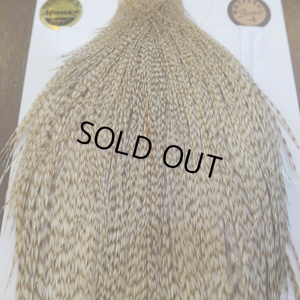 画像7: 【Whiting】ROOSTER CAPE Bronze Grade - DUN Grizzly No.2 (7)