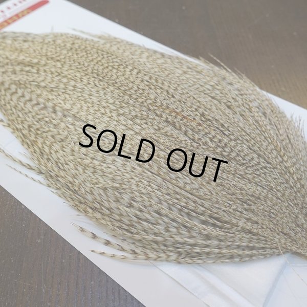 画像4: 【Whiting】ROOSTER CAPE Bronze Grade - DUN Grizzly No.2 (4)