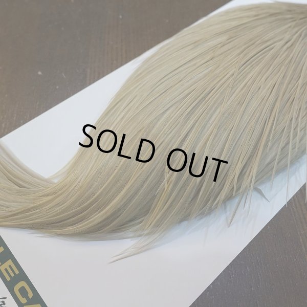 画像5: 【WHITING】Hebert Silver Grade ROOSTER CAPE - PALE WATERLY DUN No.1 (5)