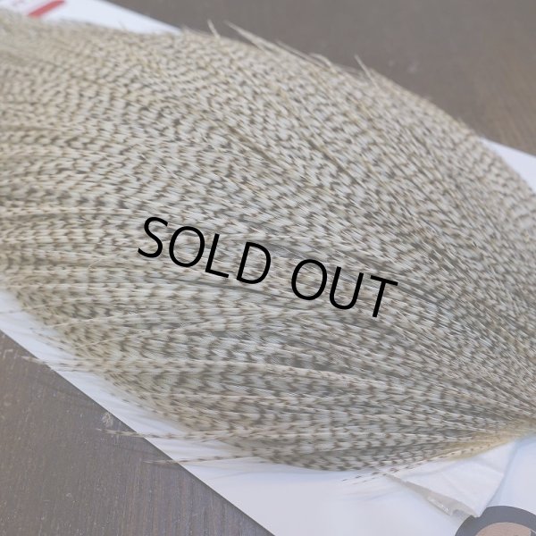 画像4: 【Whiting】ROOSTER CAPE Bronze Grade - DUN Grizzly No.1 (4)