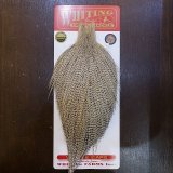 Whiting Hackle