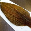 画像3: 【WHITING】Hebert ROOSTER CAPE PRO Grade - Rusty Dun (3)