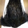 画像6: 【WHITING】Hebert ROOSTER SADDLE PRO Grade - DYED Black  #14 No.4 (6)