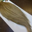 画像2: 【WHITING】Hebert ROOSTER CAPE Bronze Grade - Light tan dun No.1 (2)