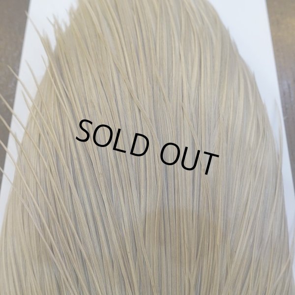 画像7: 【WHITING】Hebert Silver Grade ROOSTER CAPE - PALE WATERLY DUN No.1 (7)