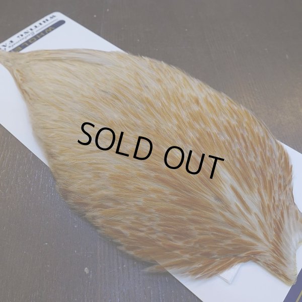 画像4: 【WHITING】AMERICAN ROOSTER CAPE - HONEY DUN (4)