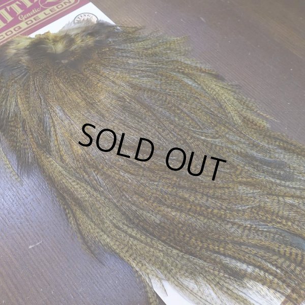 画像2: 【WHITING】Coq de Leon Saddle Silver Grade - DYED BADGER/GOLDEN OLIVE (2)