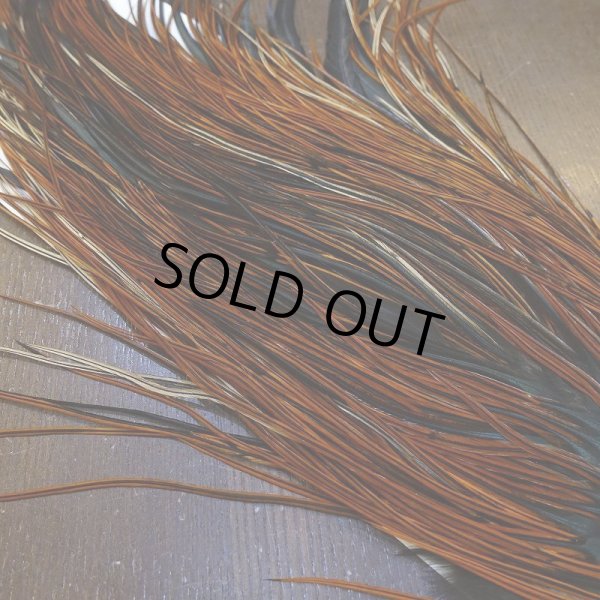 画像4: 【WHITING】Rooster Saddle Pro Grade Furnace #16 No.4 (4)