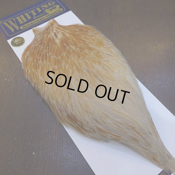 画像2: 【WHITING】AMERICAN ROOSTER CAPE - HONEY DUN (2)