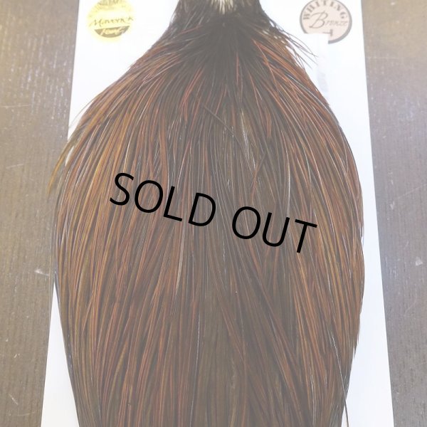 画像6: 【WHITING】Hebert ROOSTER CAPE Bronze grade - Furnace No.4 (6)