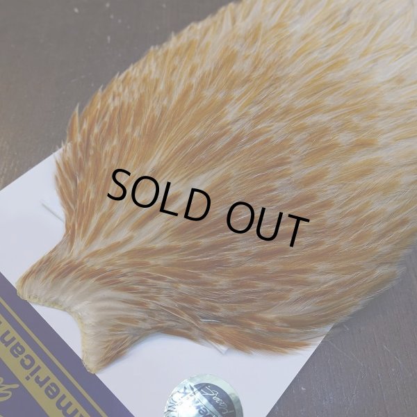 画像3: 【WHITING】AMERICAN ROOSTER CAPE - HONEY DUN (3)