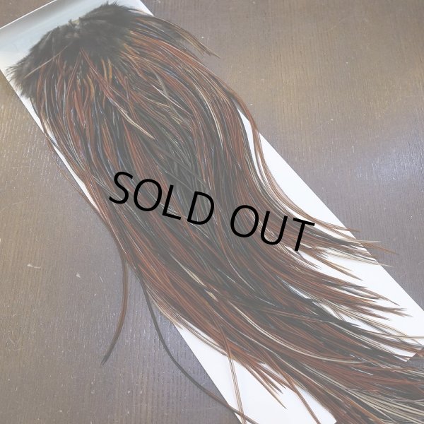 画像2: 【WHITING】Rooster Saddle Pro Grade Furnace #14 No.3 (2)