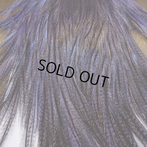 画像5: 【WHITING】Coq de Leon Saddle Bronze Grade - DYED BADGER/LAVENDER (5)