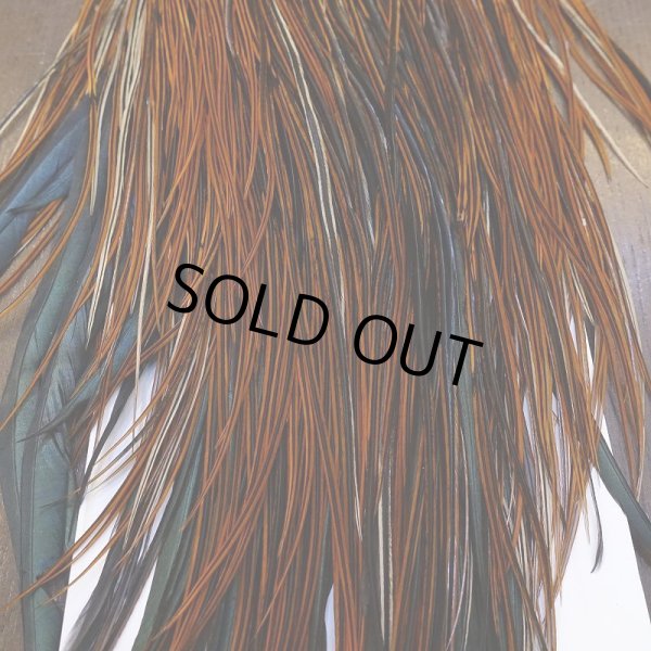 画像5: 【WHITING】Rooster Saddle Pro Grade Furnace #16 No.4 (5)