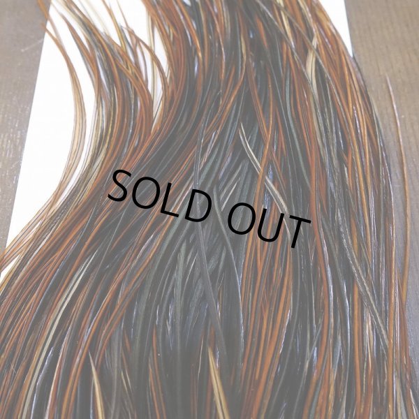 画像6: 【WHITING】Rooster Saddle Pro Grade Furnace #14 No.3 (6)