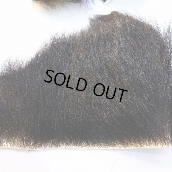 画像2: 【D】ヒグマ 切れ端(3) (2)