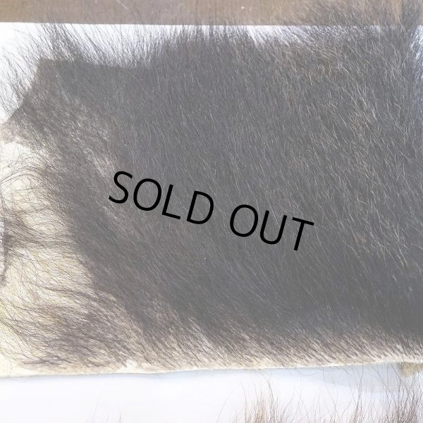 画像3: 【D】ヒグマ 切れ端(1) (3)