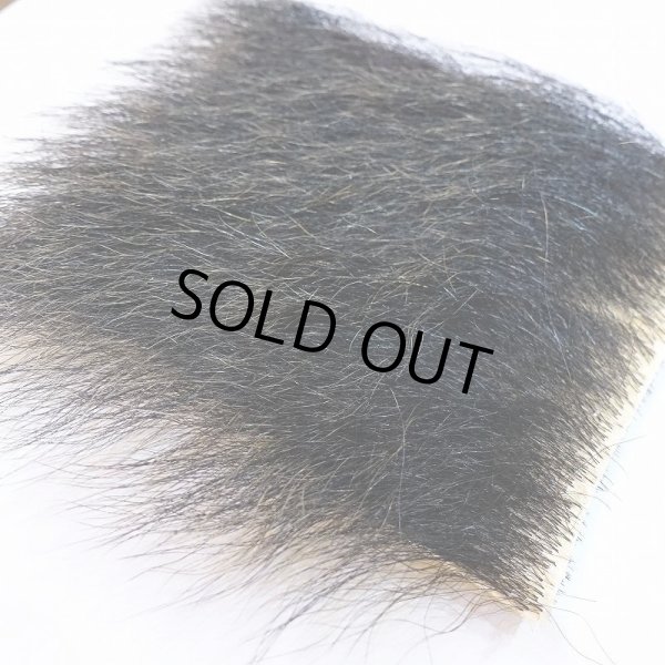 画像3: 【D】ヒグマ 10x10cm(Aグレード) (3)