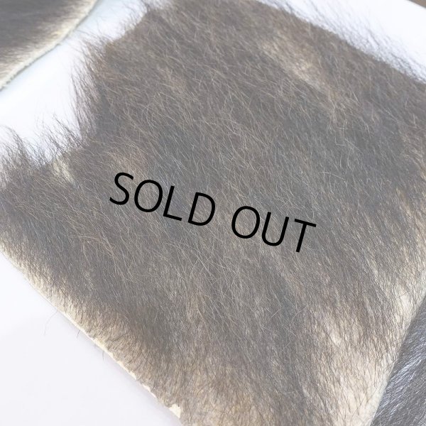 画像5: 【D】ヒグマ 切れ端(1) (5)