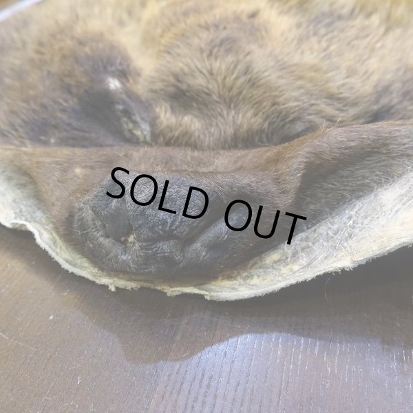 画像4: 【D】ヒグマ マスク 約45x42cm (4)