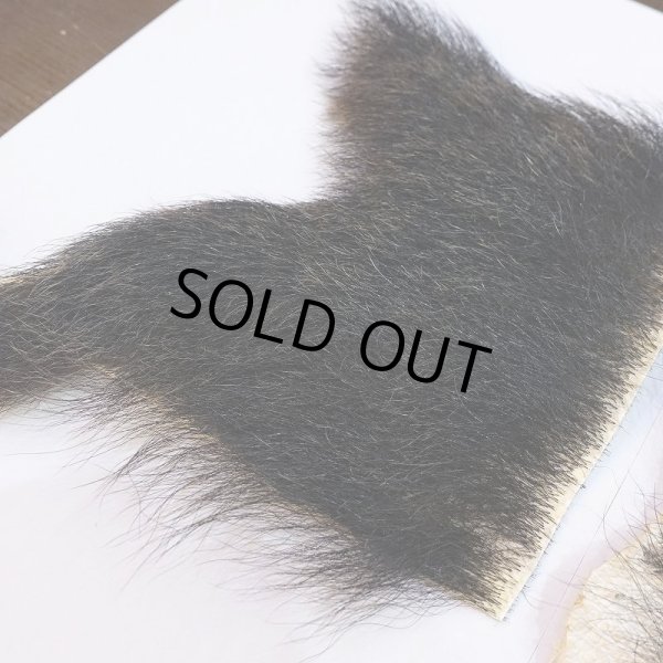 画像5: 【D】ヒグマ 切れ端(2) (5)