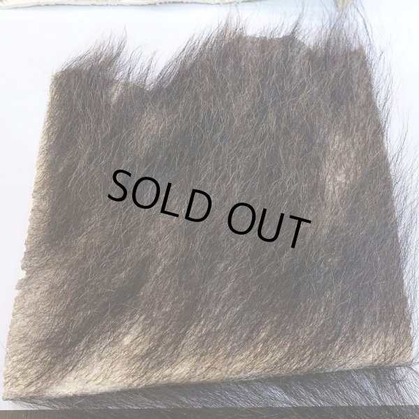 画像2: 【D】ヒグマ 切れ端(1) (2)