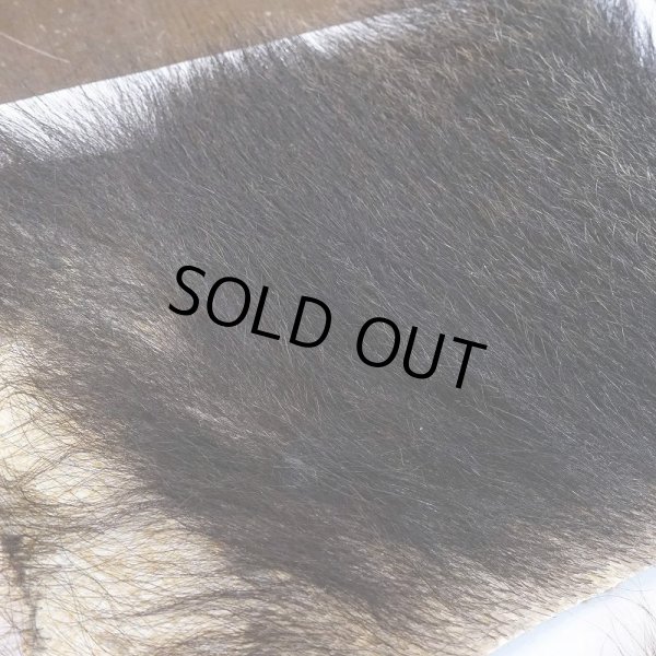 画像4: 【D】ヒグマ 切れ端(1) (4)