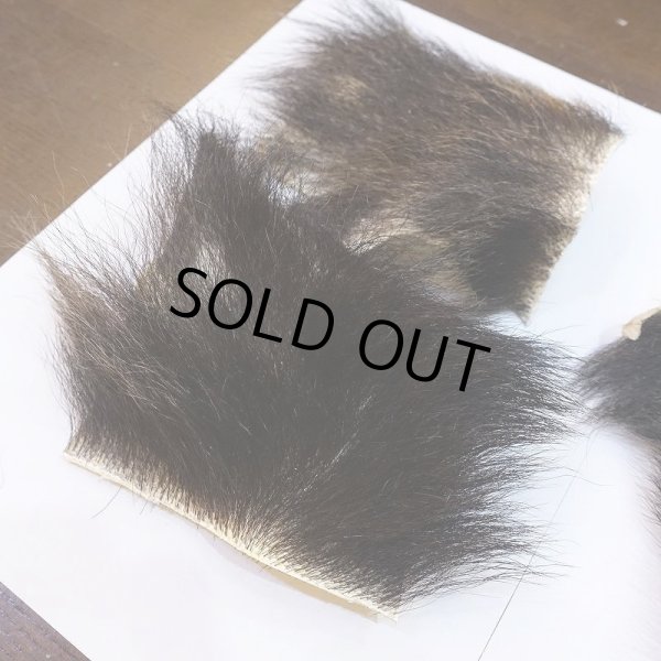 画像5: 【D】ヒグマ 切れ端(3) (5)