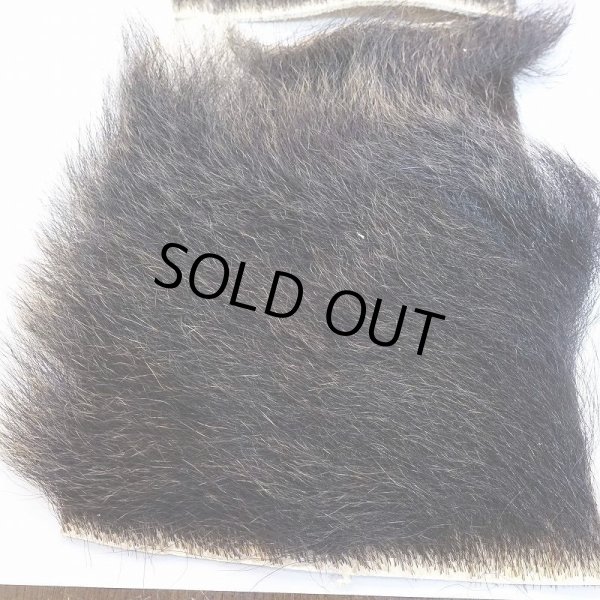 画像2: 【D】ヒグマ 切れ端(2) (2)