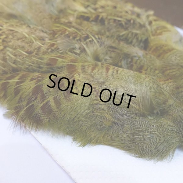 画像3: 【CANAL】パートリッジ ダイドオリーブ (3)