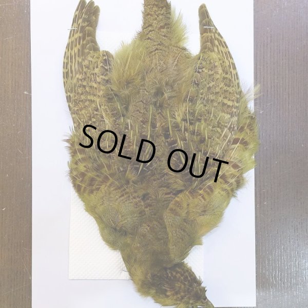 画像1: 【CANAL】パートリッジ ダイドオリーブ (1)