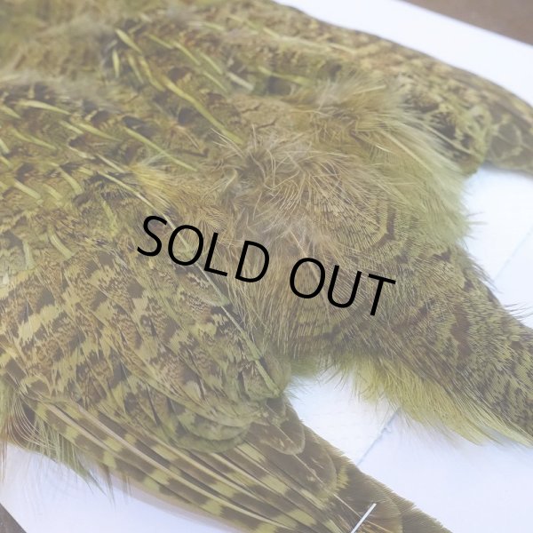 画像5: 【CANAL】パートリッジ ダイドオリーブ (5)